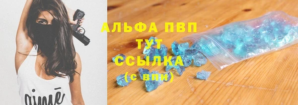 гашик Алексеевка