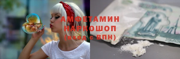 гашик Алексеевка
