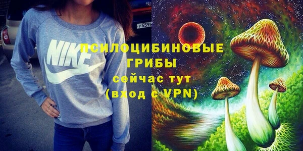 ПСИЛОЦИБИНОВЫЕ ГРИБЫ Алзамай