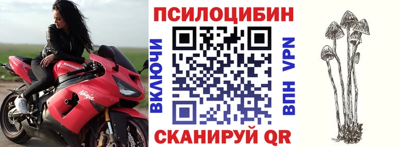 Псилоцибиновые грибы Cubensis  Циолковский 